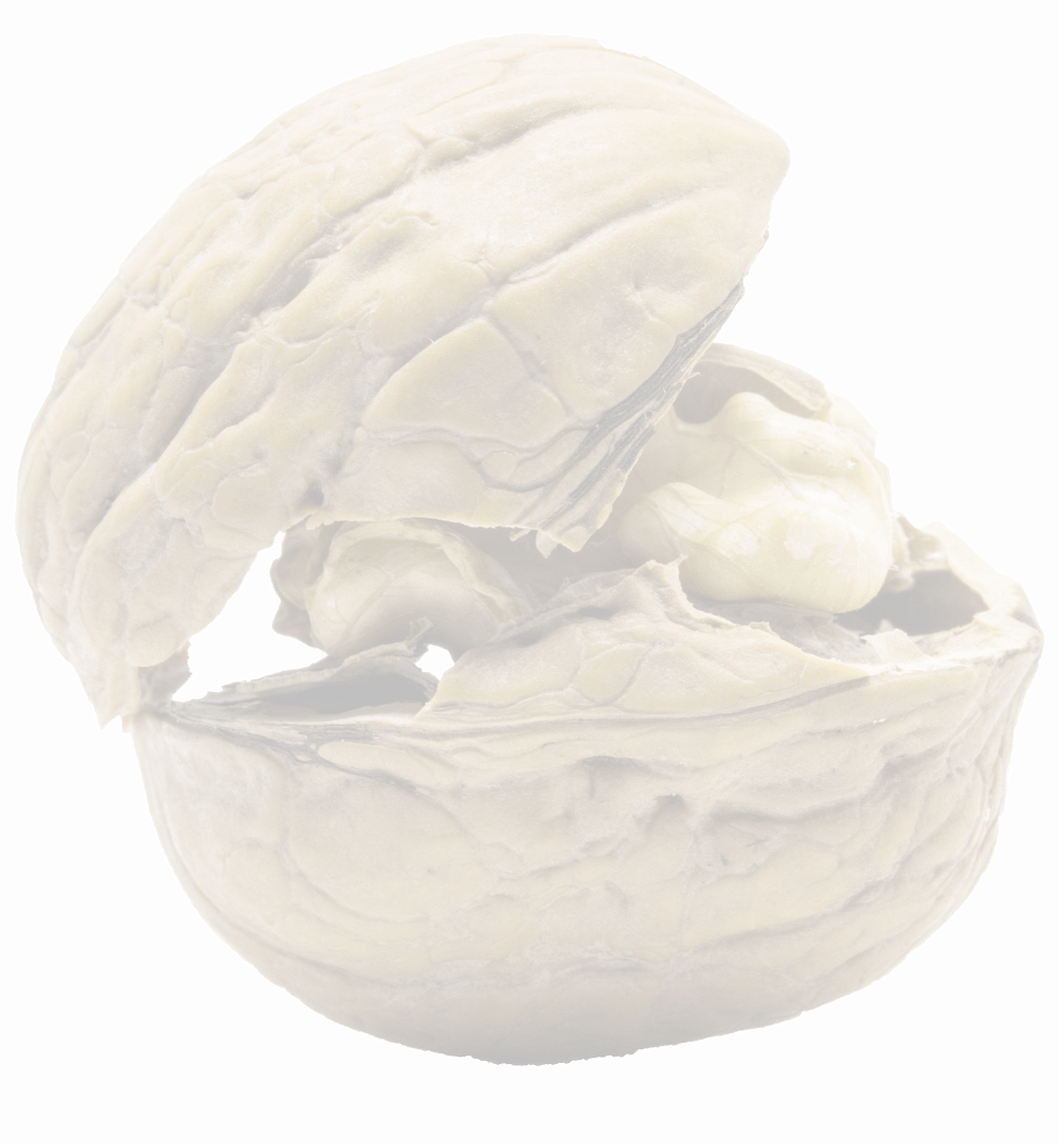 Buddhism in a Nutshell